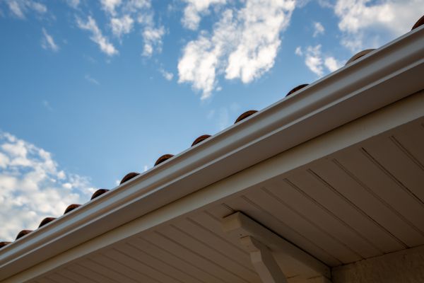 Gutter Edge Repair