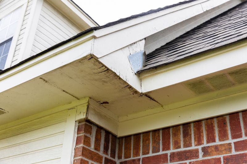 Garage Fascia Repair in Olathe, KS
